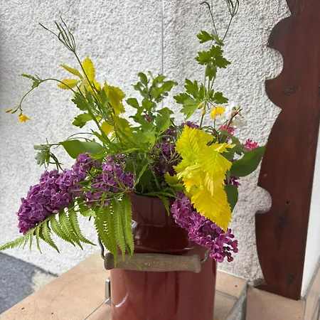 بيت للعطل Gruber